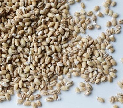 KASZA JĘCZMIENNA PĘCZAK 25Kg SWOJSKA PIWNICZKA KASZA JĘCZMIENNA PĘCZAK 25Kg SWOJSKA PIWNICZKA