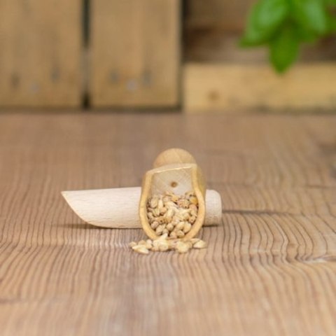 Słód Pale Ale Soufflet 500g Słód Pale Ale Soufflet 500g