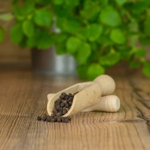Pieprz czarny ziarnisty 5kg Pieprz czarny ziarnisty 5kg